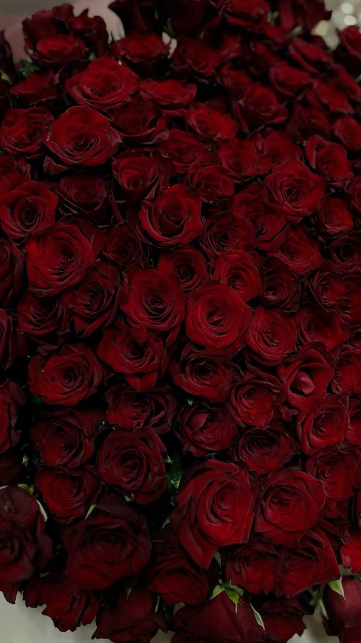 Emerald Twilight Symphony Arrangement